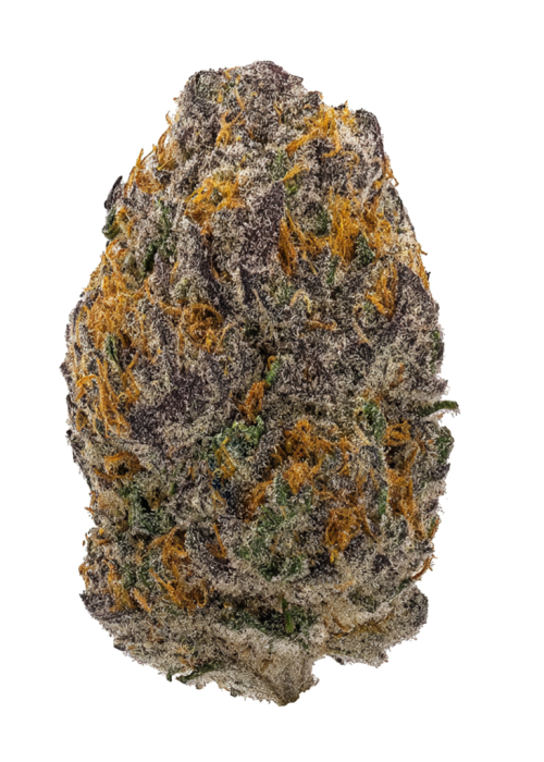 Aranciata