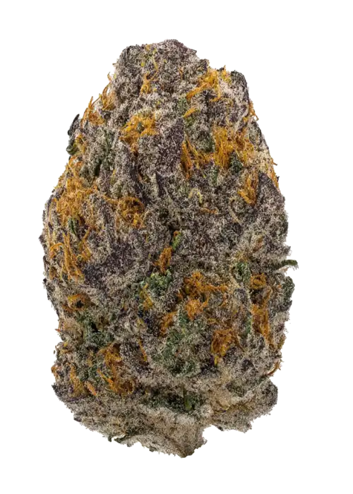 Aranciata