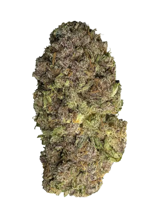 Black Sesame