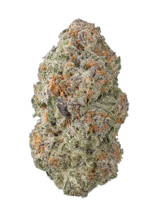 Sour Lemon MAC