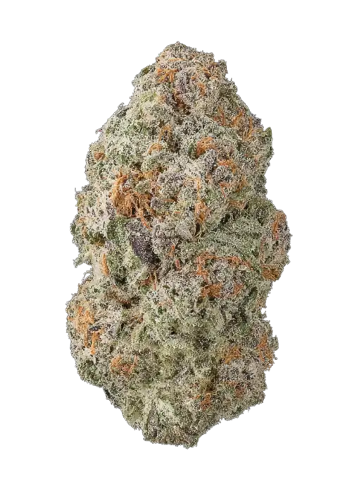 Sour Lemon MAC
