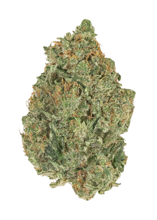 Miracle Cherry GAS