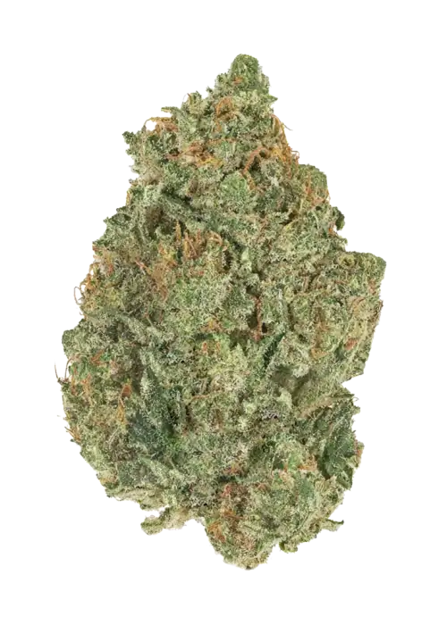 Miracle Cherry GAS