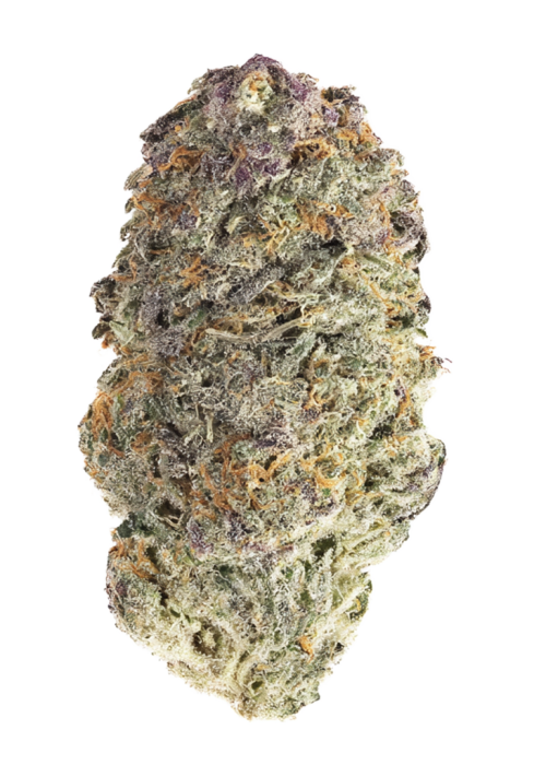 Grapefruit Bling
