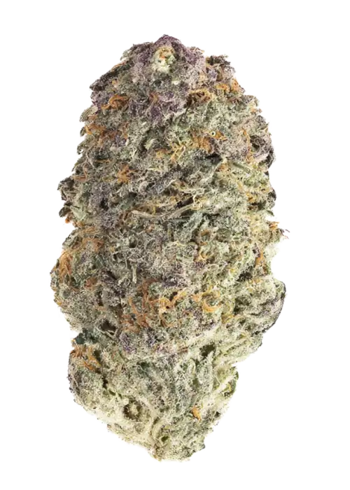 Grapefruit Bling