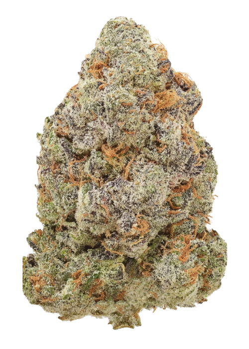 Grapefruit Wizard