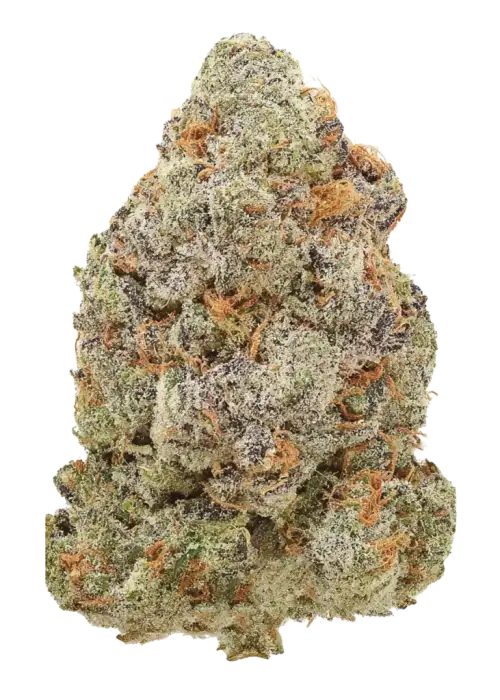 Grapefruit Wizard