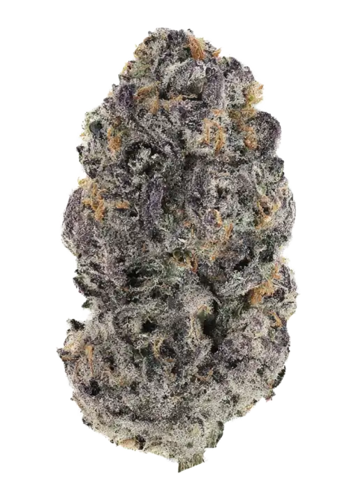 Garlic Cream Cheese