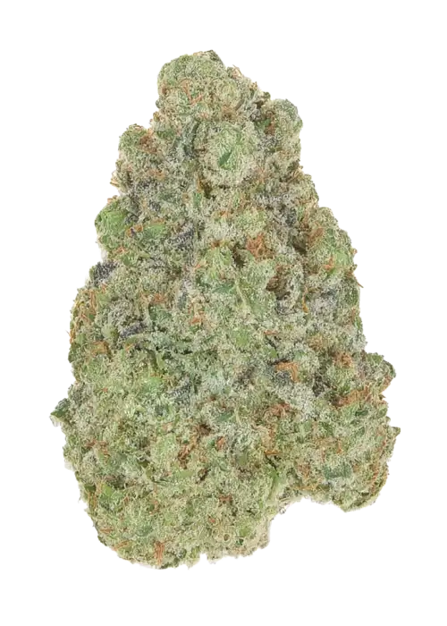 Grapefruit GAS