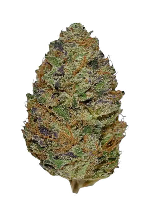 Sour Bubble