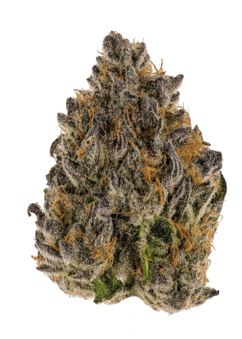 Super Frosted Runtz