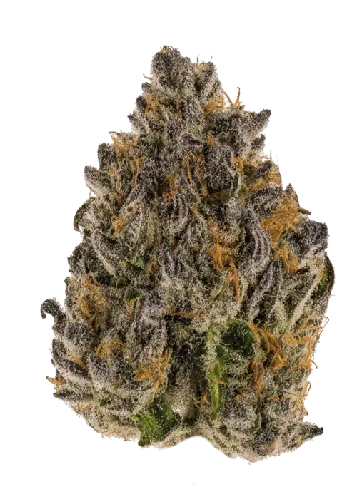 Super Frosted Runtz