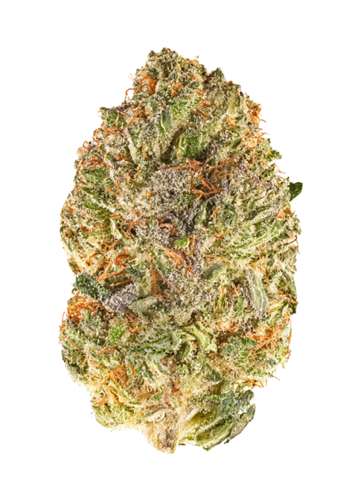 Sour Lime Sherbert