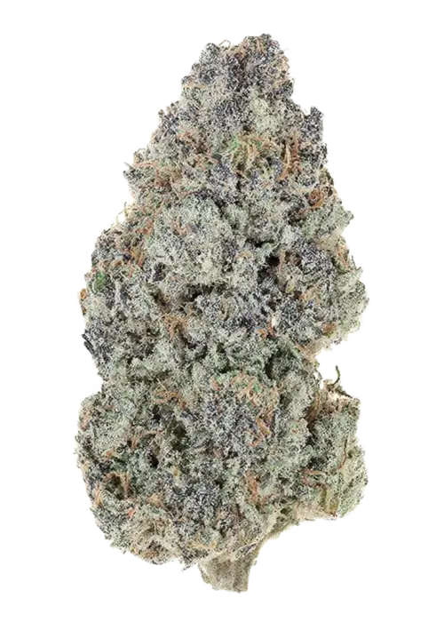 Kandy Kut