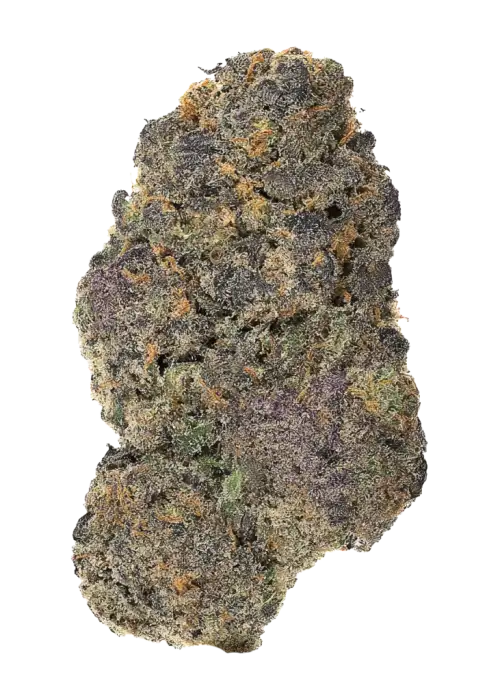 Blue Ritz