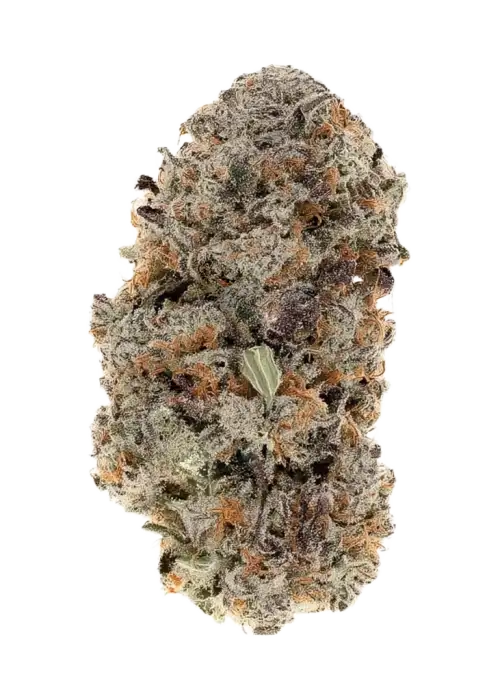 Tropical Treatz by Fiya Farmer