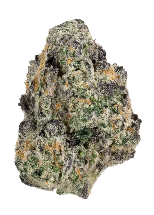 Zangbanger 