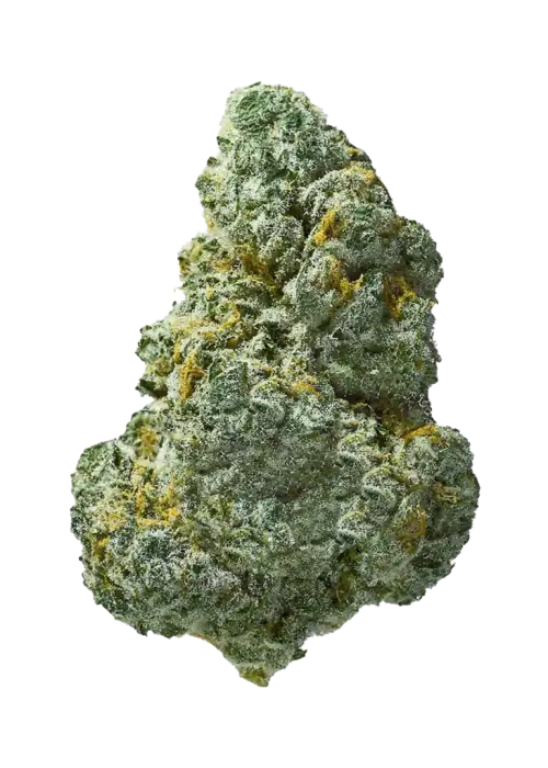 Sour Lemons