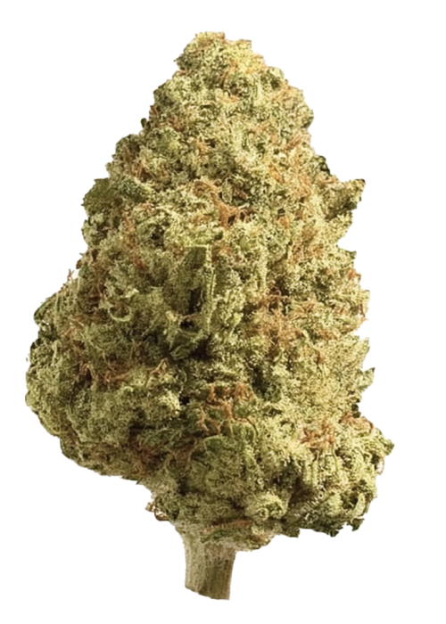Honeydew by Doja