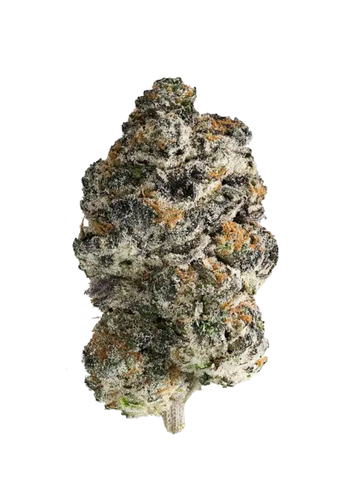 LA Gelato