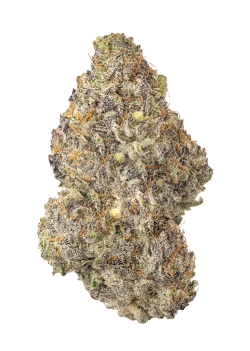 Potion by Wizard Trees