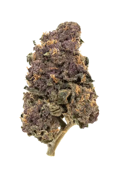 Blackberry Runtz