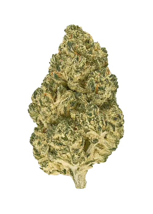 White Wookies