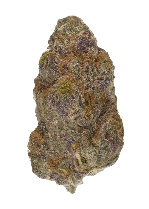 Blackberry by Nebu
