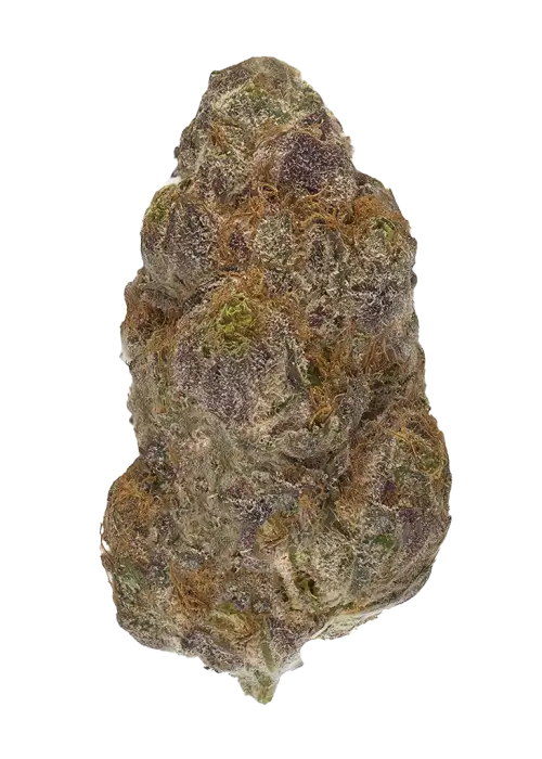 Blackberry by Nebu