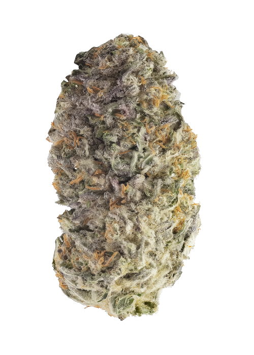 Black Tar by 3rd Coast Genetics