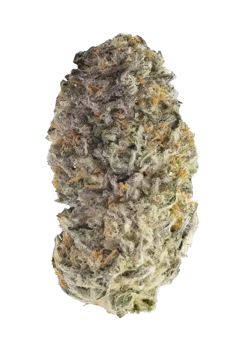 Black Tar by 3rd Coast Genetics