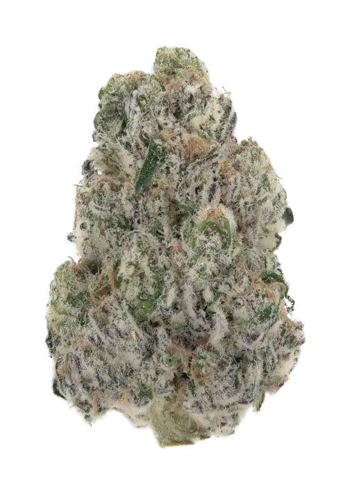 Sour Trinity