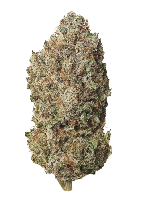 Garlic Gas