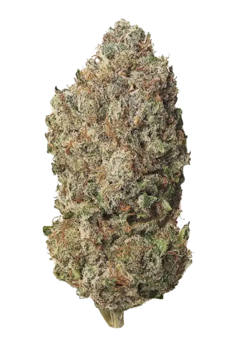Garlic Gas
