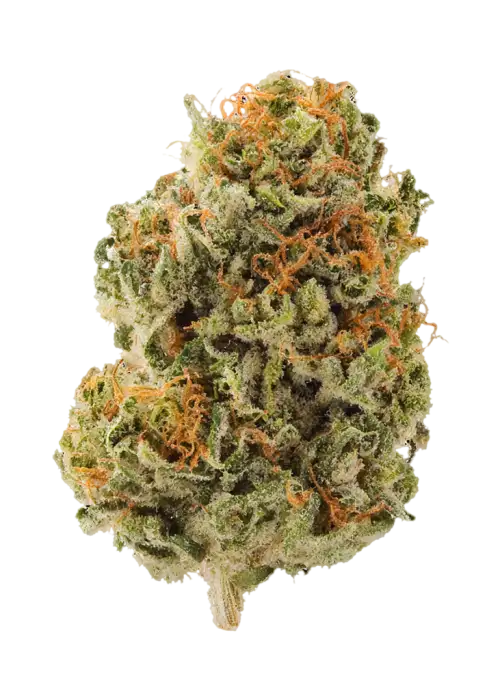 Purple Lemon Punch