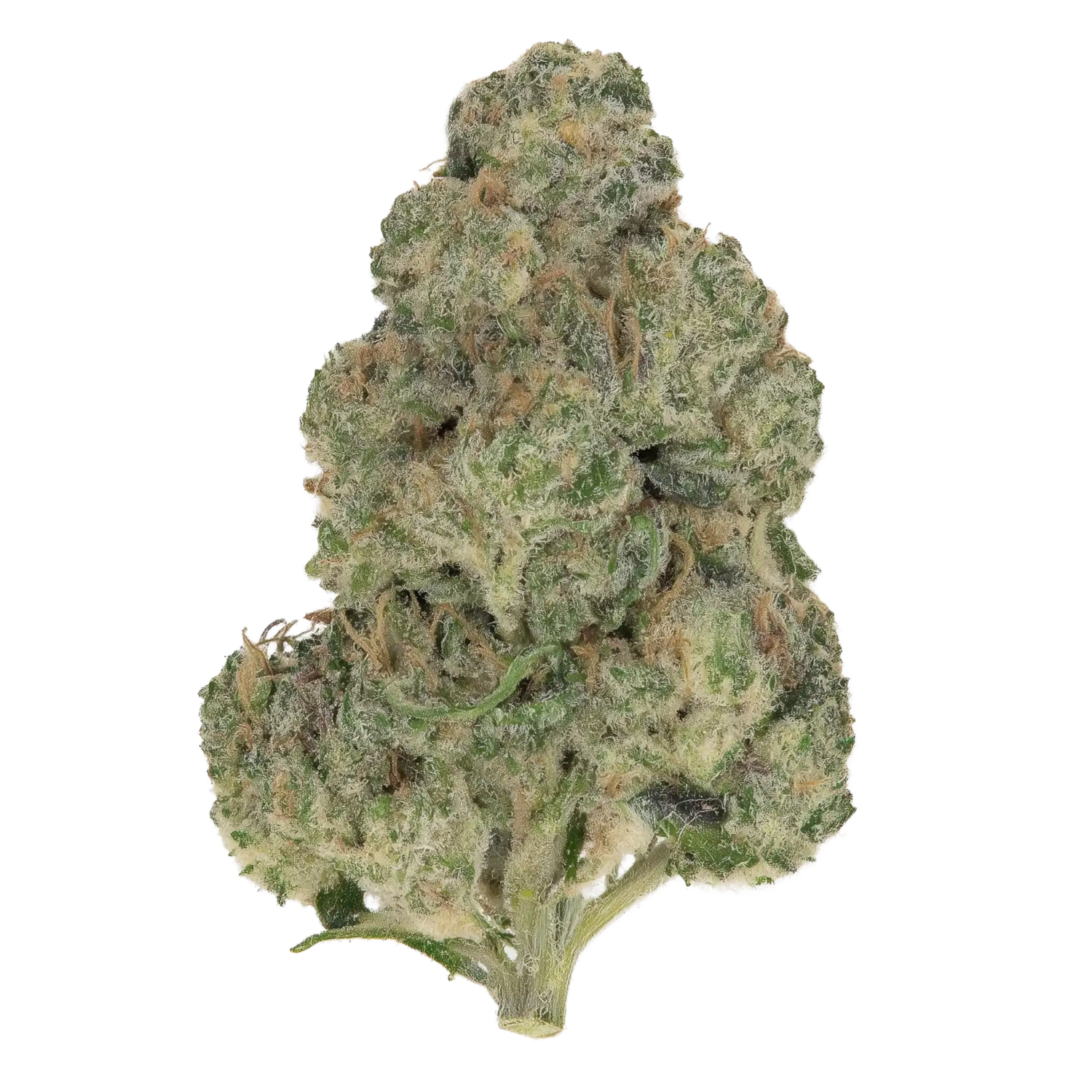 9524-jokerz-candy.webp
