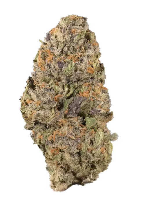 Citrus Cookies Kush