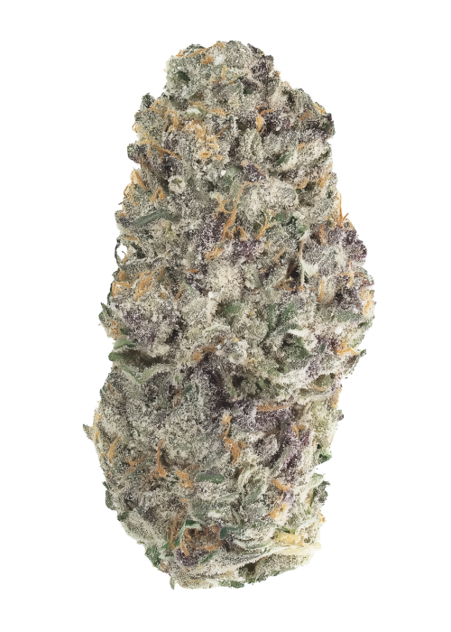 Midnight Scoop