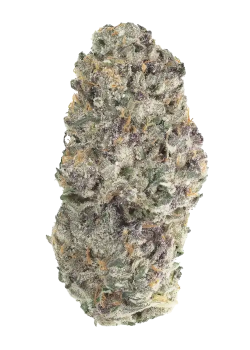 Midnight Scoop