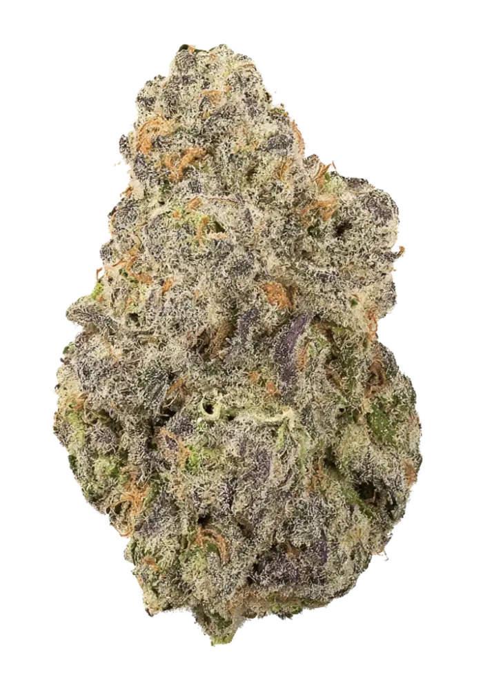 リンパインピーダンスII Durban Zkittlez Cannabis Strain Products - GrowDiaries