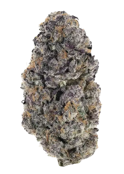 Cranberry