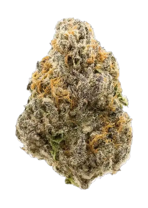 Bubblegum Popperz