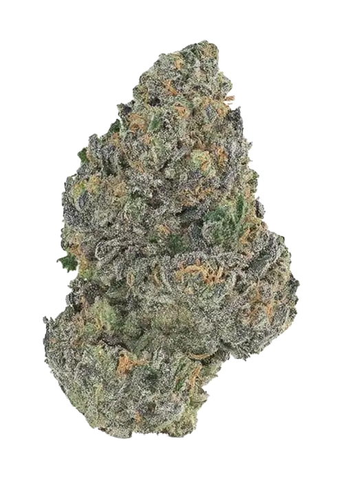 Mega Z Emerald
