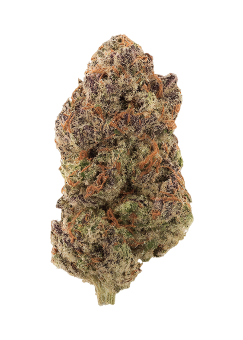 Blueberry Purple Kush