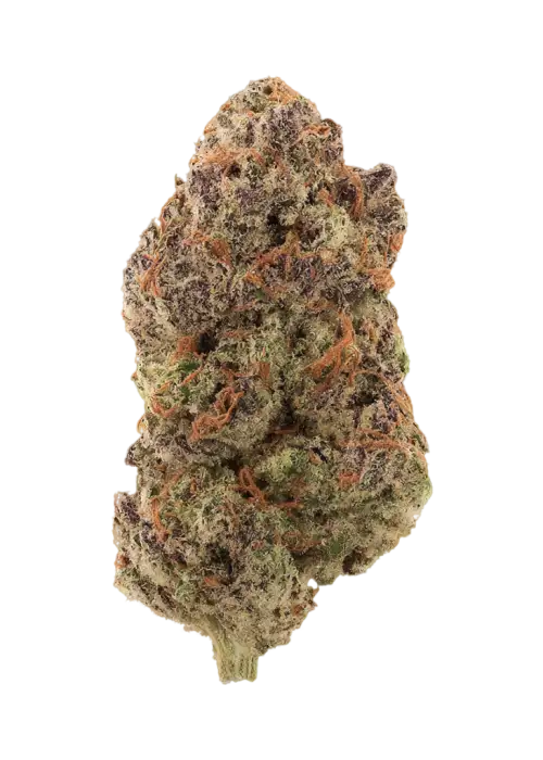 Blueberry Purple Kush
