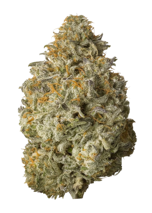 Sour Watermelon