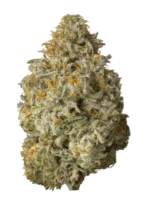 Sour Watermelon
