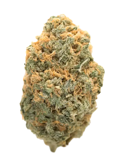 Bitter Orange