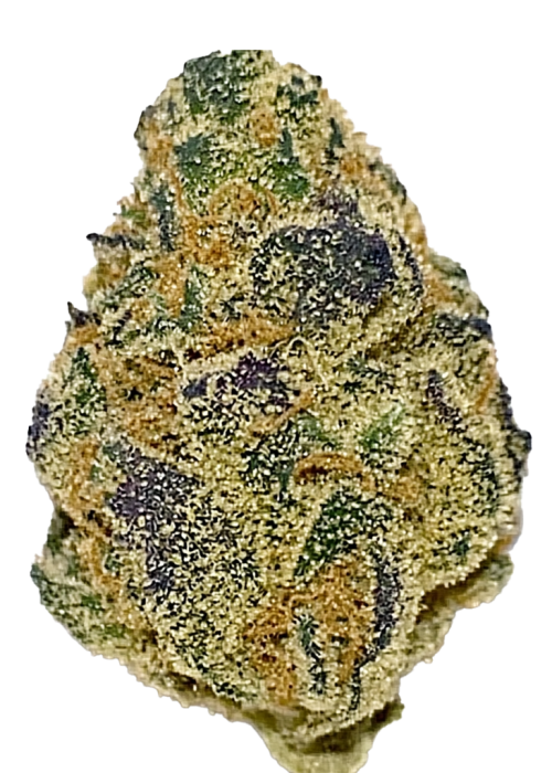 Bitter Orange
