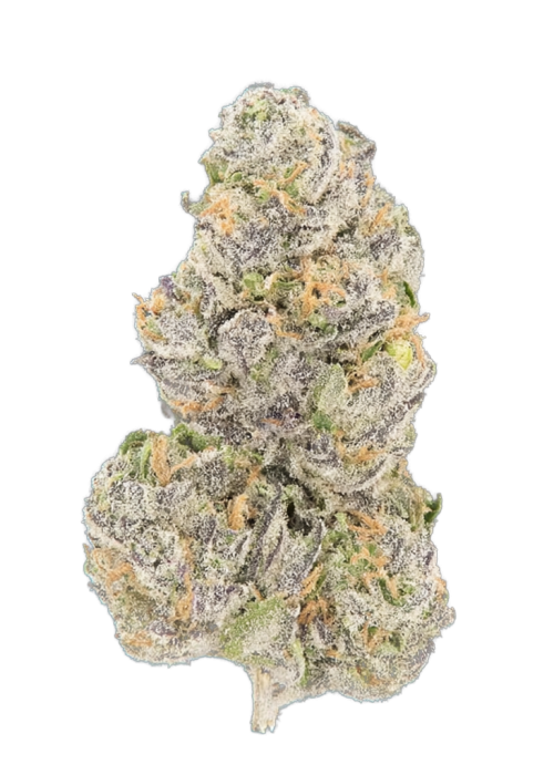 Platinum Dosha